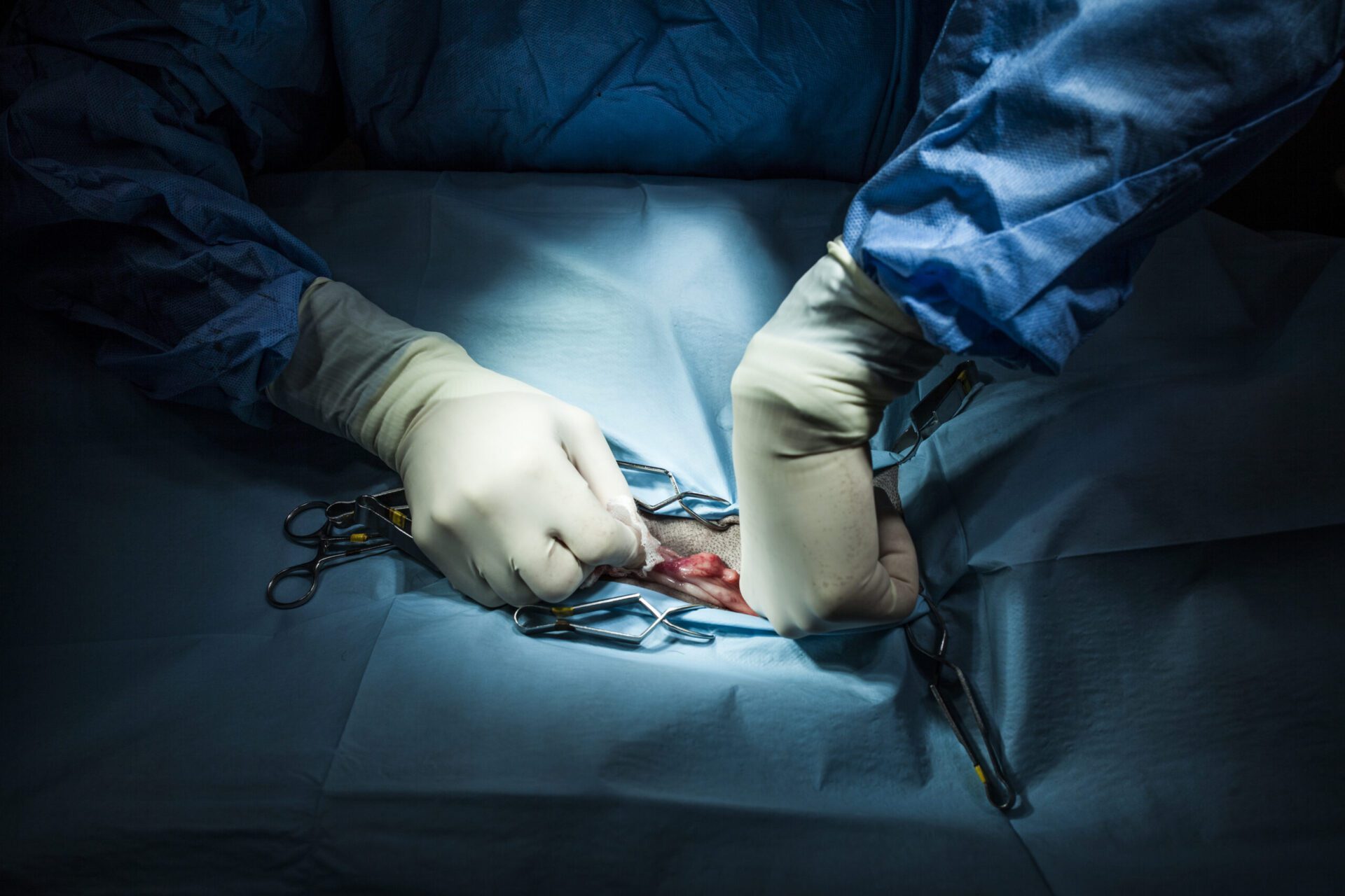 Happy female doctor at office with patient